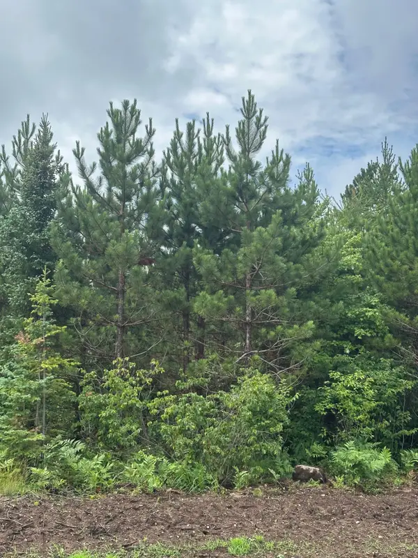 ON Spring Creek Rd #1081 West, Rhinelander, WI 54501