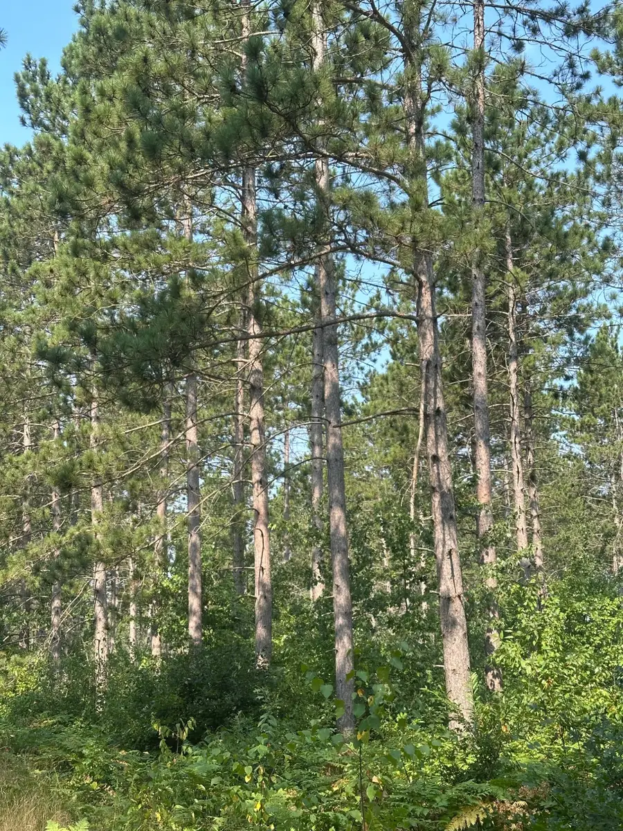 ON Spring Creek Rd #1081 West, Rhinelander, WI 54501 - #2