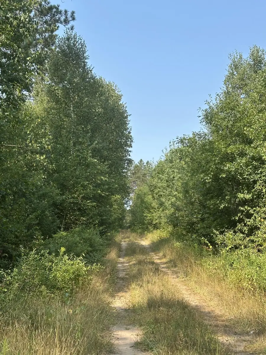 ON Spring Creek Rd #1081 West, Rhinelander, WI 54501 - #3
