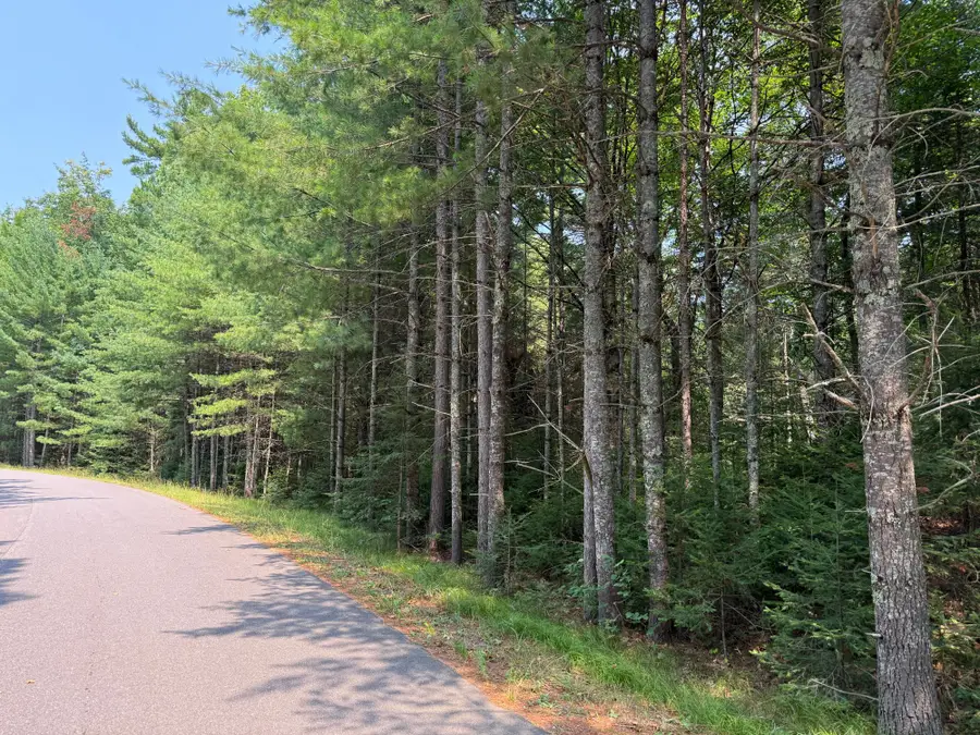 ON Maplewood Dr, Saint Germain, WI 54558 - #2