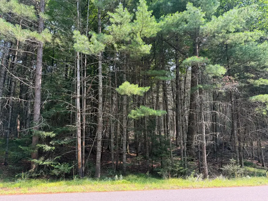 ON Maplewood Dr, Saint Germain, WI 54558 - #3