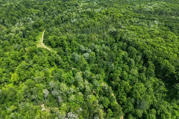 6881E Forest Rd #Lot 4, Marenisco, MI 49947