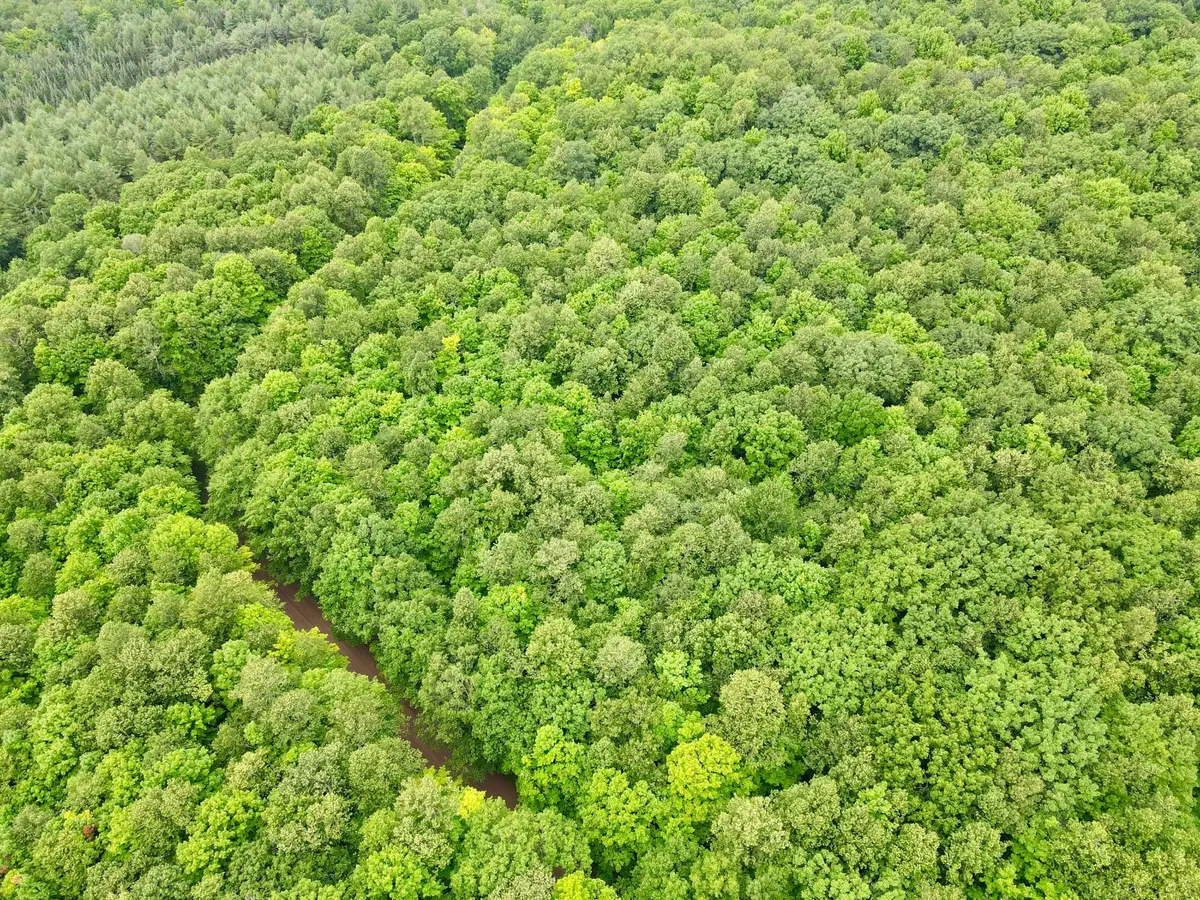 Lot 1 Crane Foot Lake Rd, Gleason, WI 54435 - #1