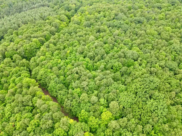 Lot 1 Crane Foot Lake Rd, Gleason, WI 54435