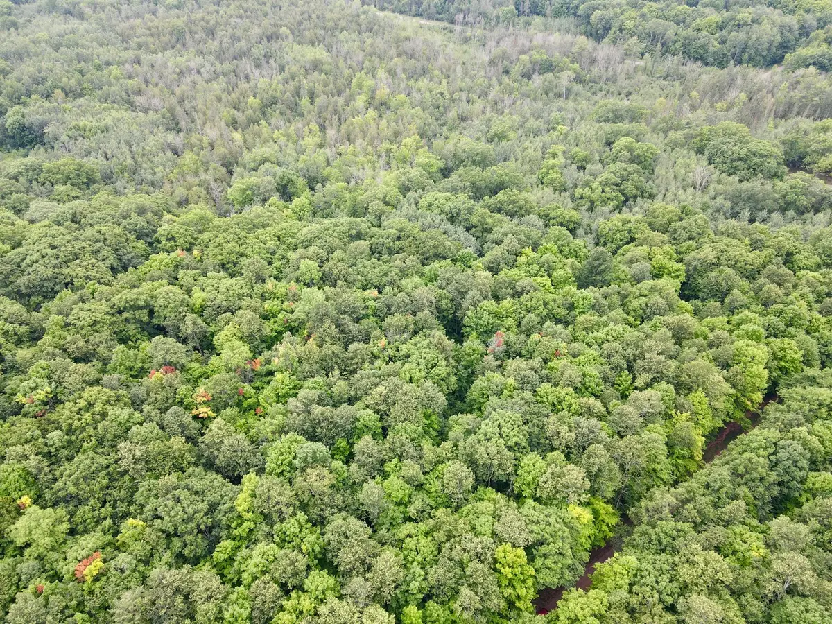 Lot 2 Crane Foot Lake Rd, Gleason, WI 54435 - #1