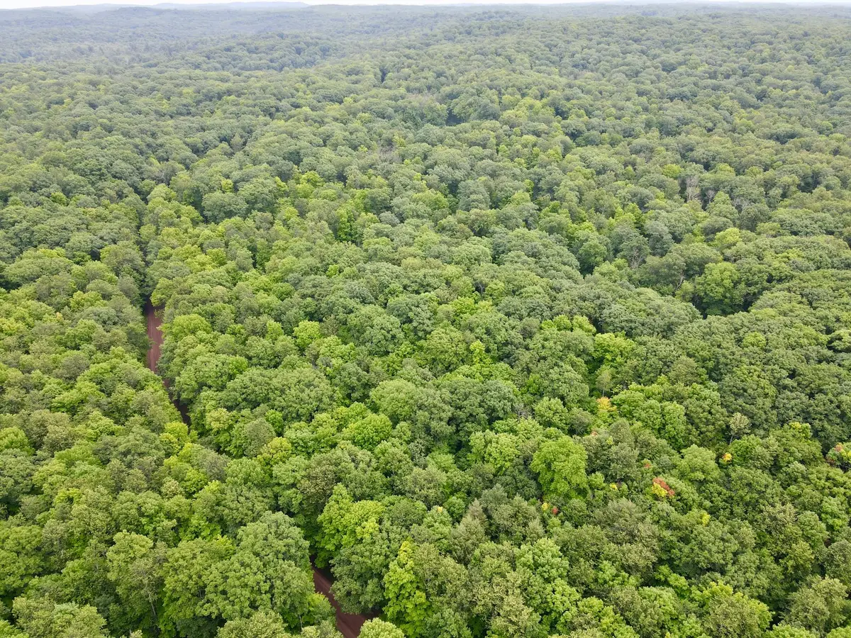 Lot 3 Crane Foot Lake Rd, Gleason, WI 54435 - #1