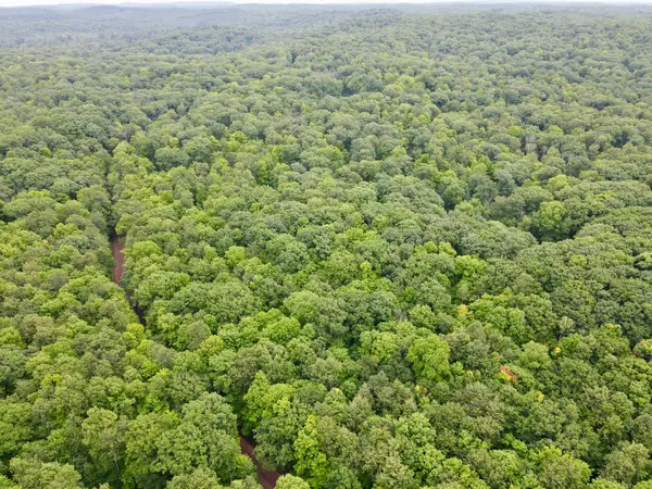 Lot 3 Crane Foot Lake Rd, Gleason, WI 54435