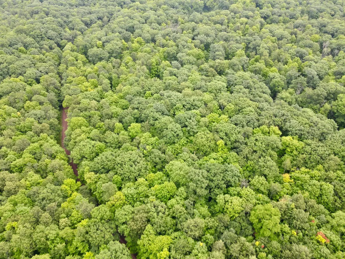 Lot 4 Crane Foot Lake Rd, Gleason, WI 54435 - #1