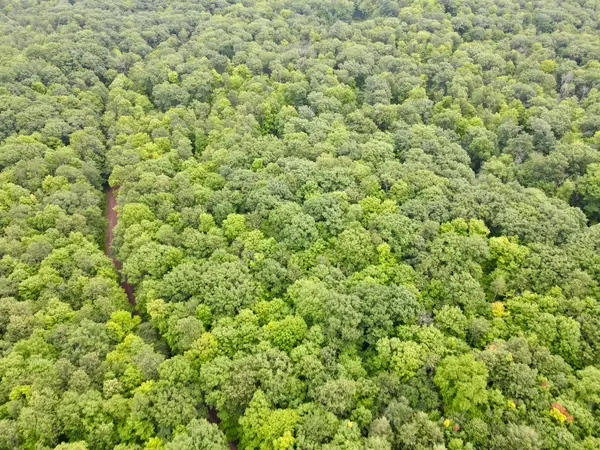 Lot 4 Crane Foot Lake Rd, Gleason, WI 54435