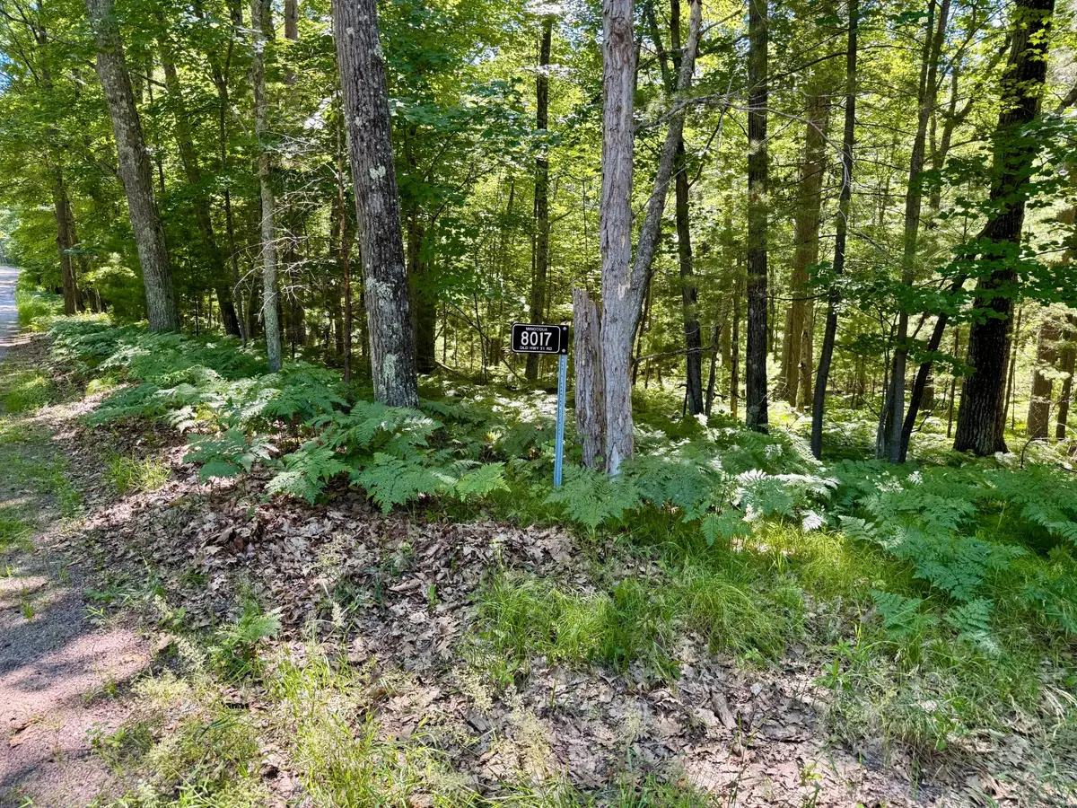 8017 Old Hwy 51 Rd, Minocqua, WI 54548 - #1