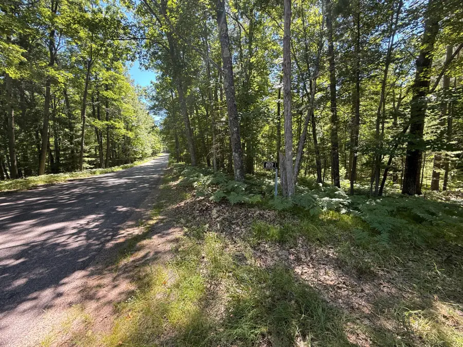 8017 Old Hwy 51 Rd, Minocqua, WI 54548 - #2