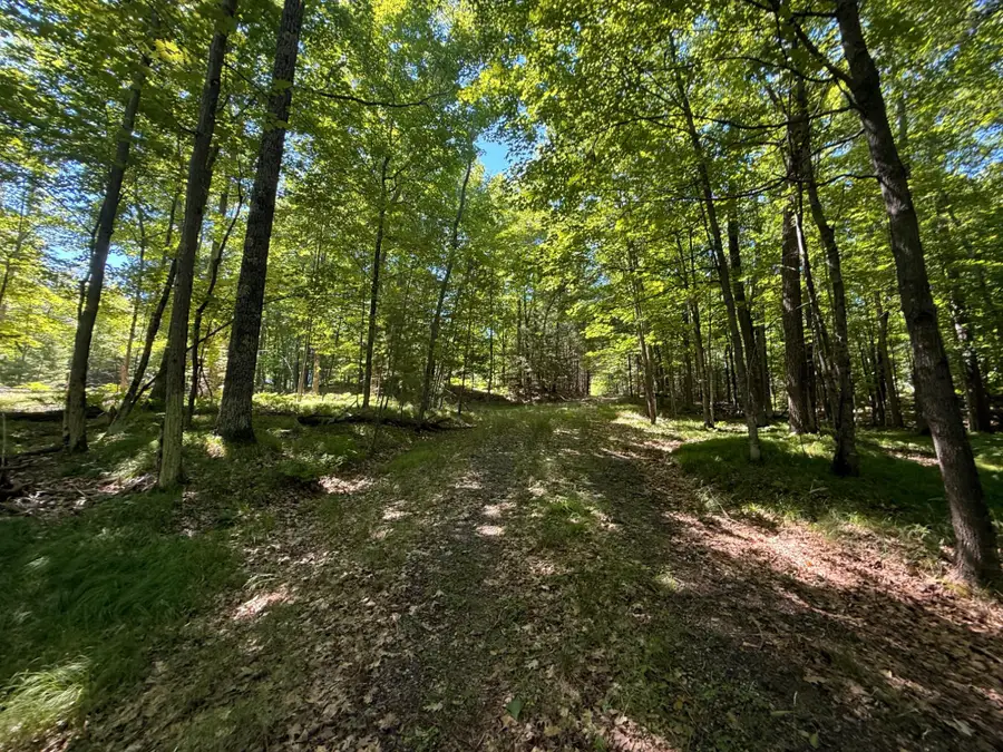 8017 Old Hwy 51 Rd, Minocqua, WI 54548 - #3