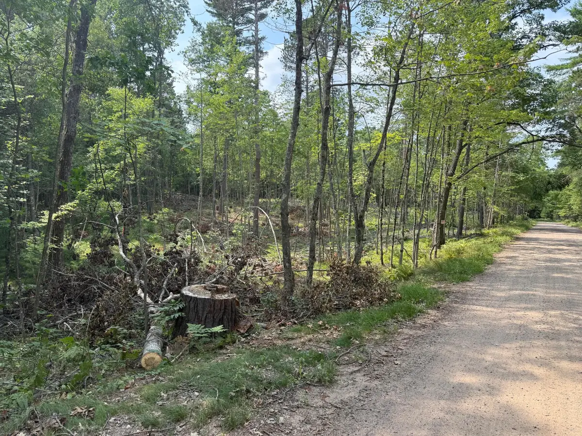 ON Star Lake Rd, Plum Lake, WI 54561 - #1
