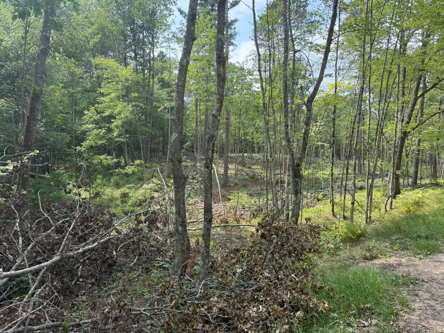 ON Star Lake Rd, Plum Lake, WI 54561 - #2