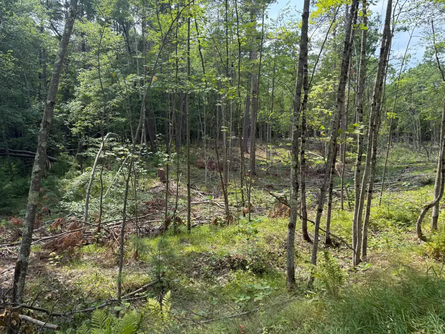 ON Star Lake Rd, Plum Lake, WI 54561 - #3