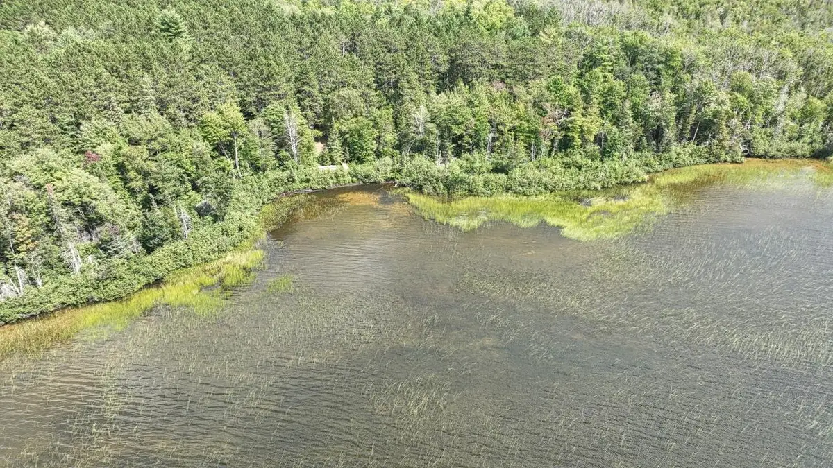 14175 Harris Creek Ln, Presque Isle, WI 54557 - #1