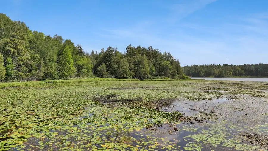 Lot3 off Golf Course Dr, Mercer, WI 54547 - #2