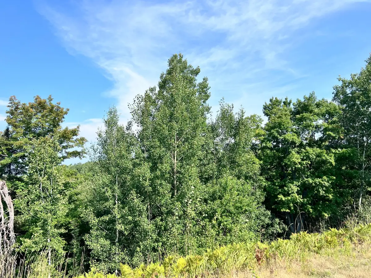 13 AC ON Hwy 17, Phelps, WI 54554 - #1