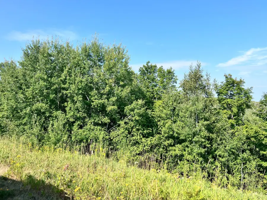 13 AC ON Hwy 17, Phelps, WI 54554 - #3