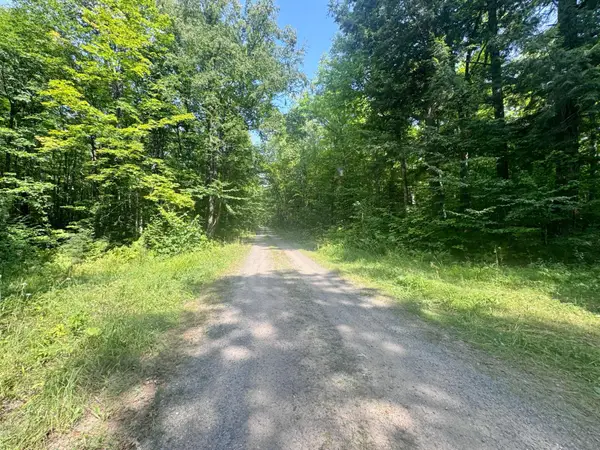 80AC off Forest Rd 3350, Iron River, MI 49935