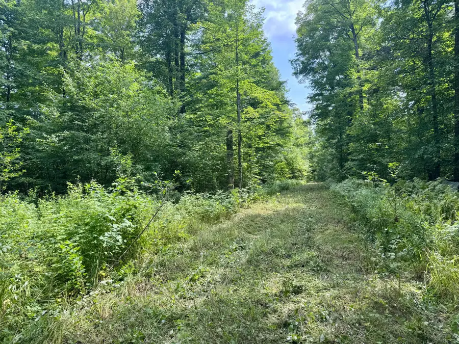 80AC off Forest Rd 3350, Iron River, MI 49935 - #2