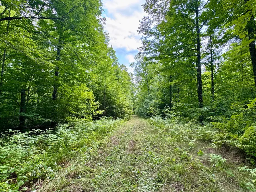 80AC off Forest Rd 3350, Iron River, MI 49935 - #3