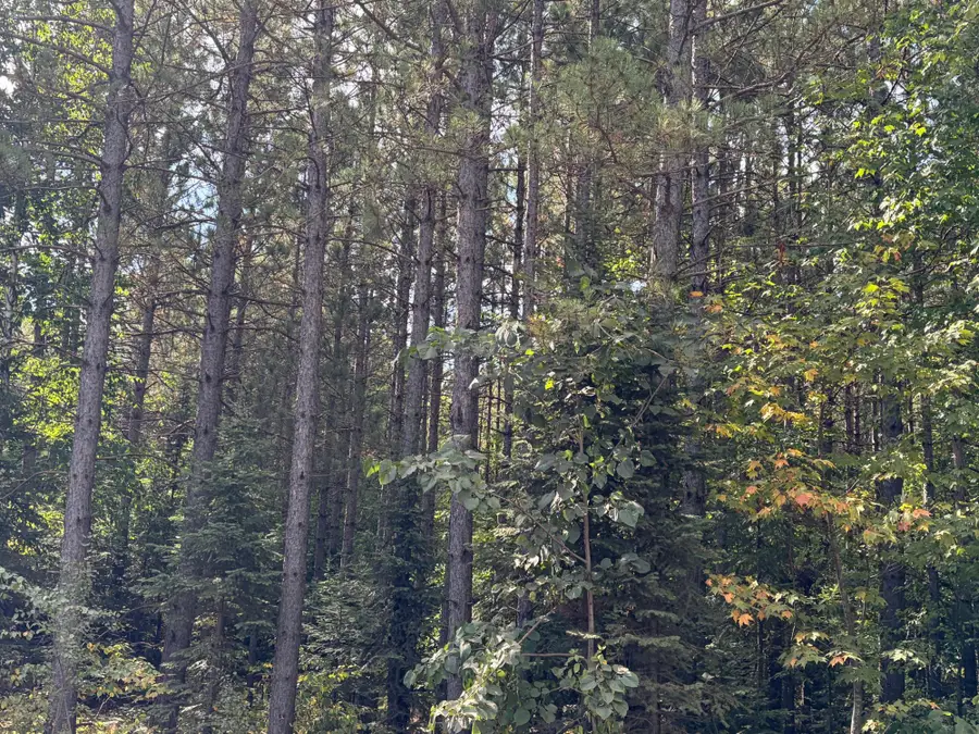 ON Freburgs Rd, Saxon, WI 54559 - #2