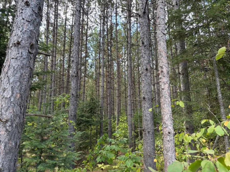 ON Freburgs Rd, Saxon, WI 54559 - #3