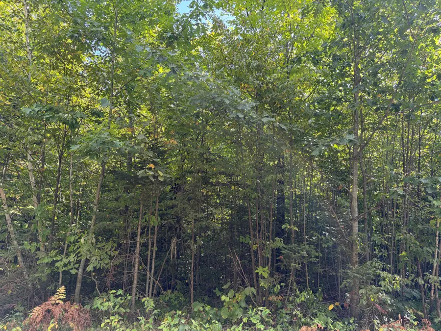 ON Freburgs Rd, Saxon, WI 54559 - #2