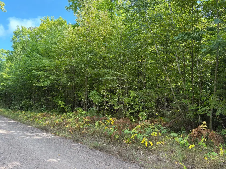 ON Freburgs Rd, Saxon, WI 54559 - #3