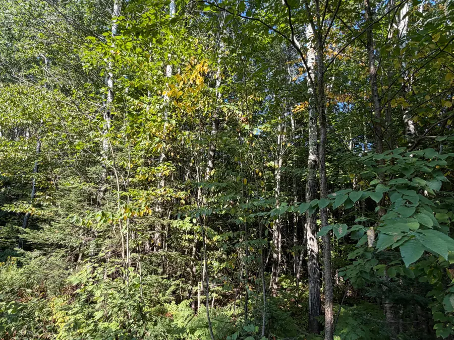 ON Sand Rock Rd, Hurley, WI 54534 - #2