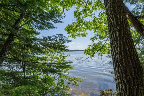 Off Shangri La Rd, Eagle River, WI 54521