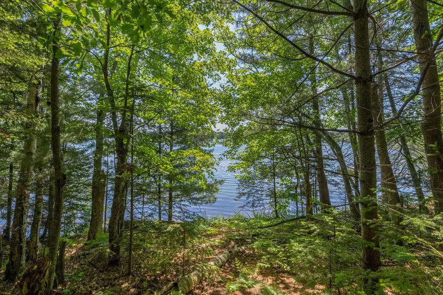 Off Shangri La Rd, Eagle River, WI 54521 - #3