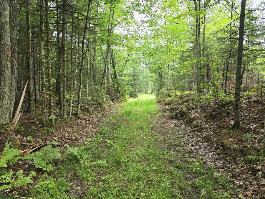 ON Dam Rd, Eagle River, WI 54521 - #3