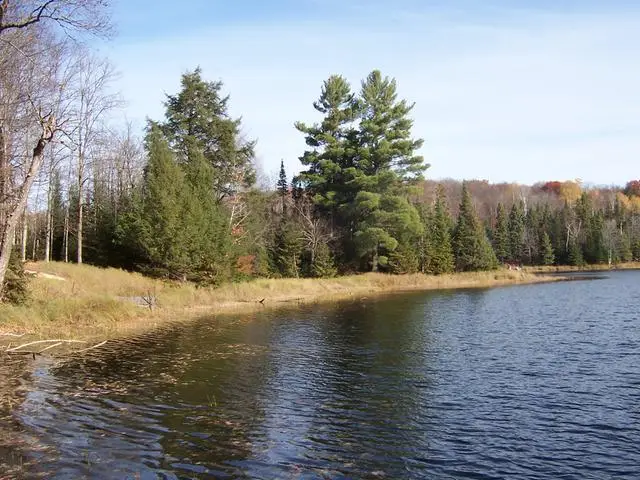 2468 Boat Landing Rd, Haight, MI 49912 - #1