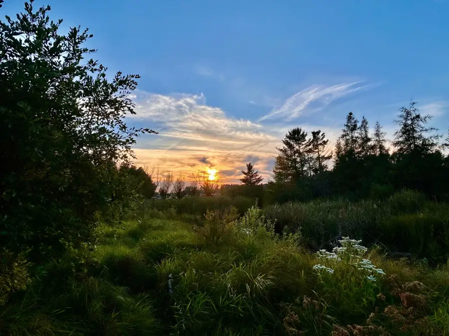 ON Pat Phalen Rd, Crandon, WI 54520 - #2