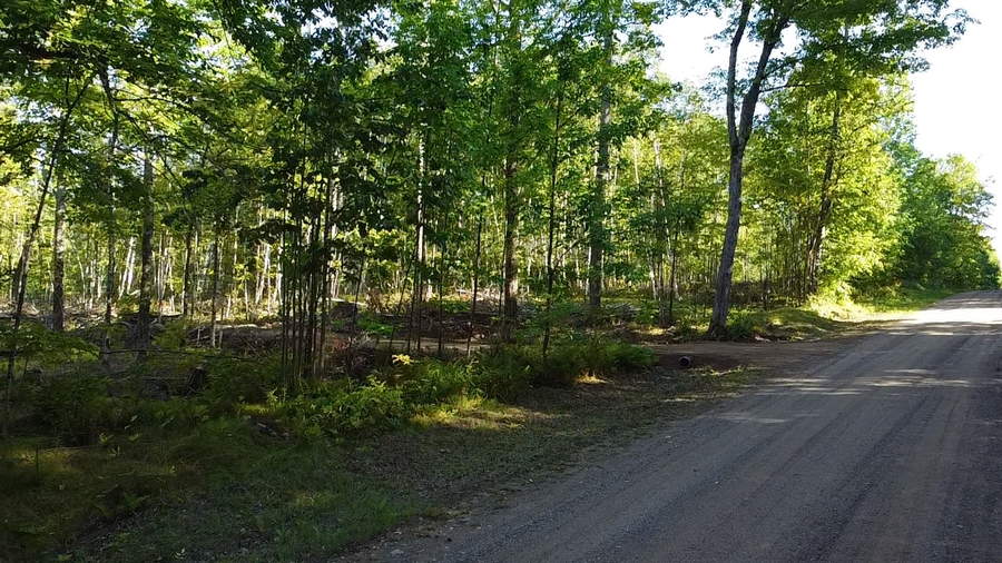 5.5 acre Tower Rd, Crandon, WI 54520 - #2