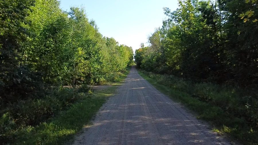 11 Acres Tower Rd, Crandon, WI 54520 - #2