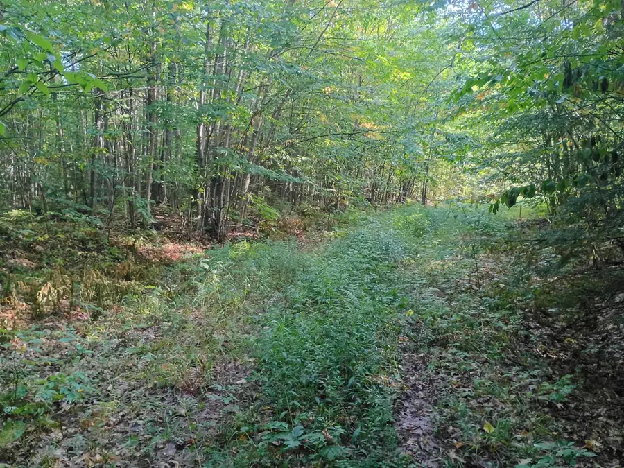 283.12ac Valley Rd, Hurley, WI 54534 - #3