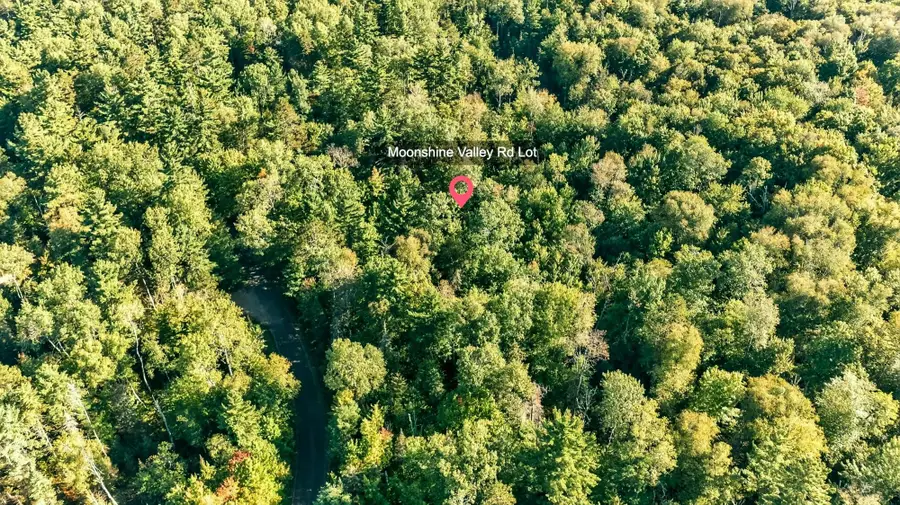 Lot ON Moonshine Valley Rd, Presque Isle, WI 54557 - #2