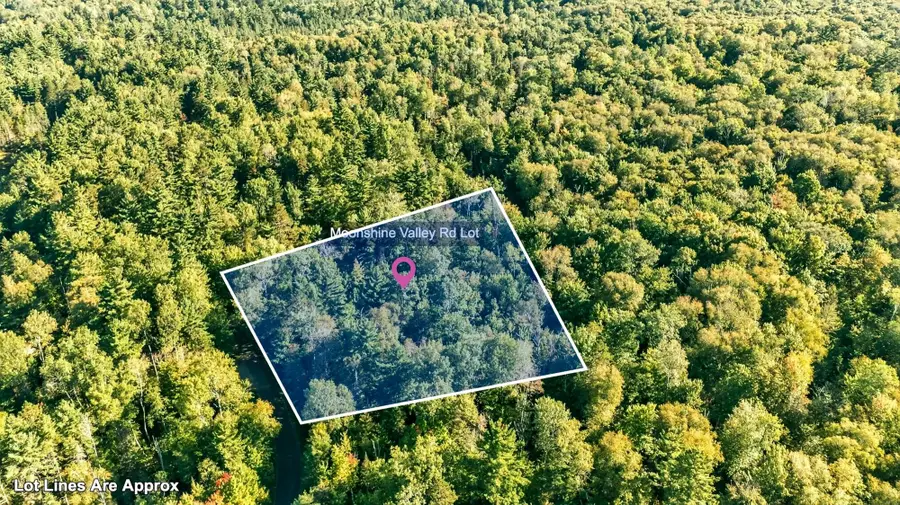 Lot ON Moonshine Valley Rd, Presque Isle, WI 54557 - #3