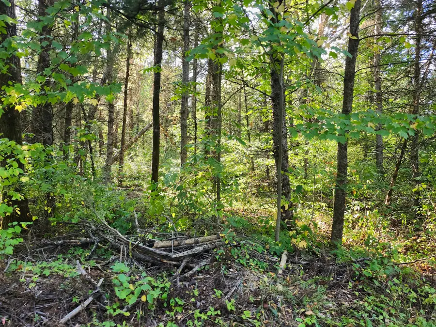 7821W Koeppler Rd, Ojibwa, WI 54862 - #3