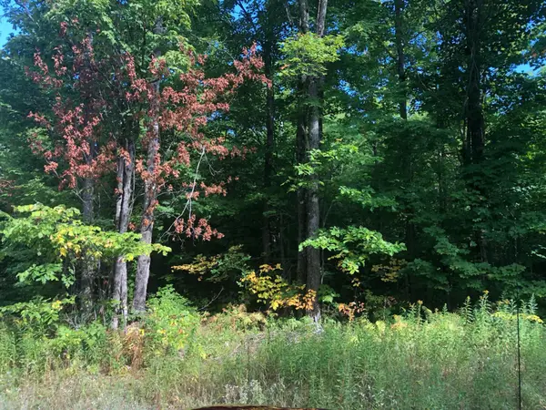 Off Jack Spur Rd, Ontonagon, MI 49953
