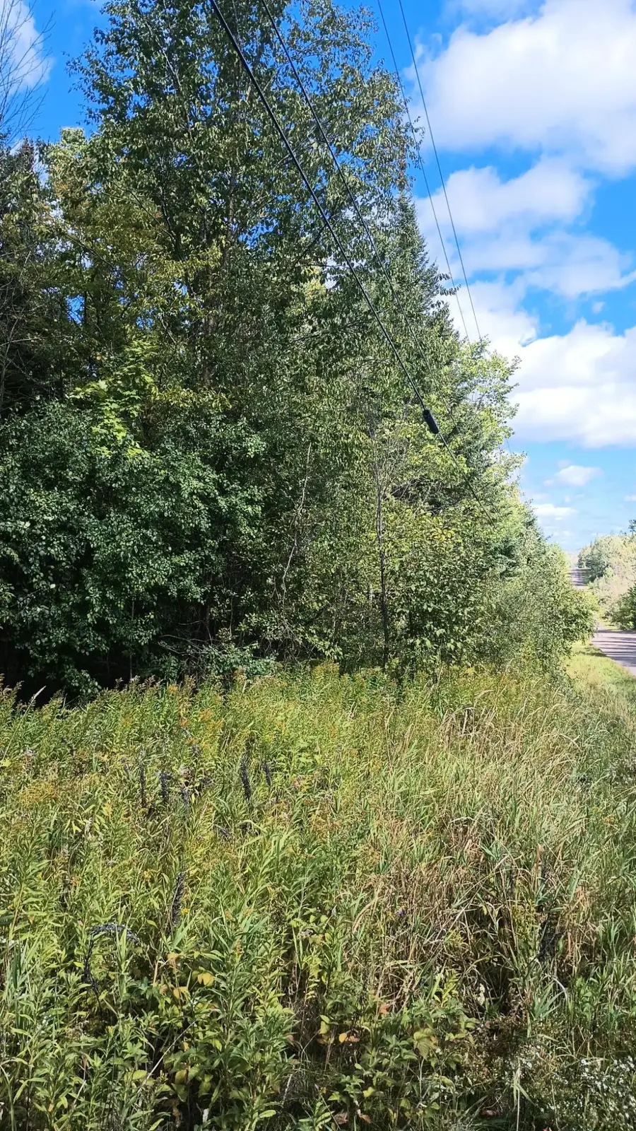 TBD Pierce St, Wakefield, MI 49968 - #2