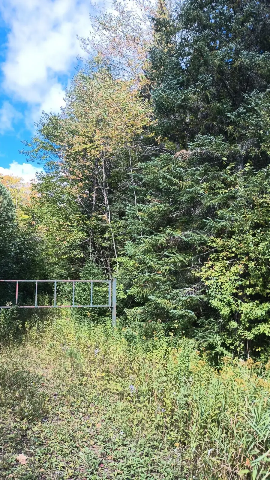 TBD Pierce St, Wakefield, MI 49968 - #3