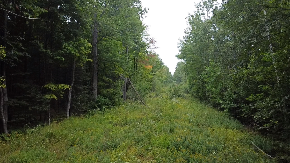 120 acre Birch Rd, Crandon, WI 54520 - #1