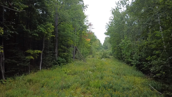 120 acre Birch Rd, Crandon, WI 54520