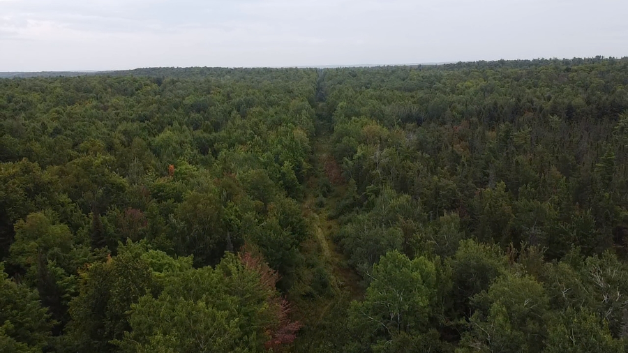 120 acre Birch Rd, Crandon, WI 54520 - #2