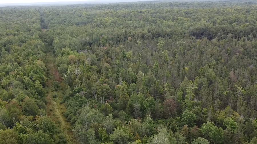 120 acre Birch Rd, Crandon, WI 54520 - #3