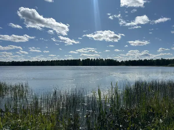 5879 Conifer Ln, Eagle River, WI 54521